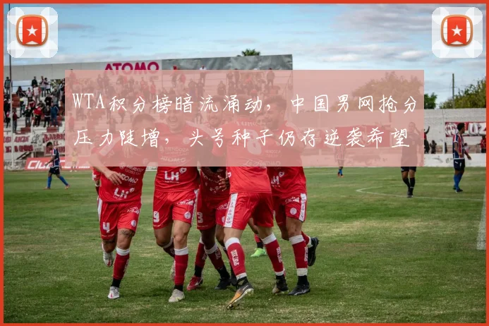 WTA积分榜暗流涌动，中国男网抢分压力陡增，头号种子仍存逆袭希望