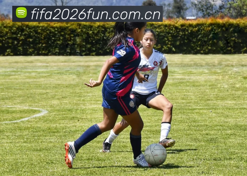 2026世界杯 APP界面展示